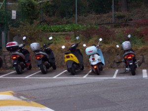 5 scooters parked in a row